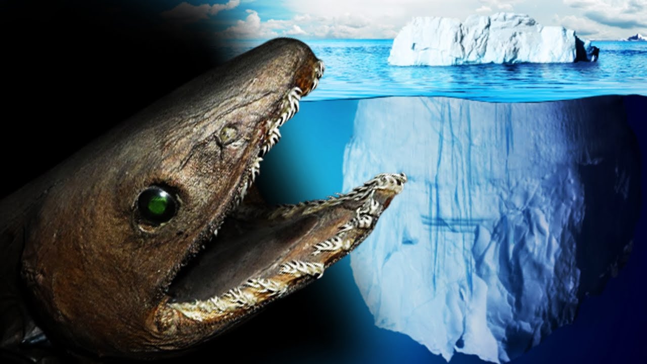 O Iceberg dos Mistérios do Oceano