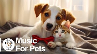 Pets sleep music😽Healing piano music that cats & dogs like, separation anxiety soothing music by For Your Pets 285 views 2 weeks ago 24 hours