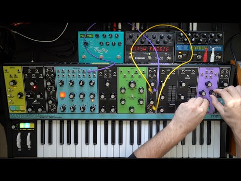 Very Moog jam with Matriarch and Subsequent 37, Eventide Space and Timefactor, Strymon Big Sky