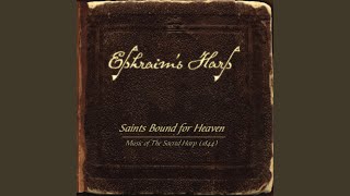 New Prospect (feat. Laurel Dougall & Ephraim's Harp)