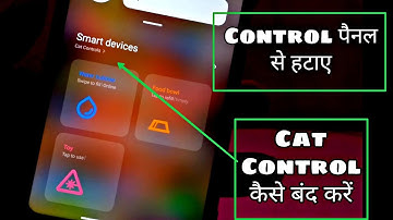 What is Cat control || How to Enable Disable Cant Control || MIUI 12 Easter Egg