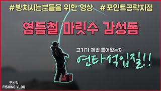 갯바위낚시 포인트 공략지점과 낚시방법 ! 영등철 마릿수 대물 감성돔 fishing