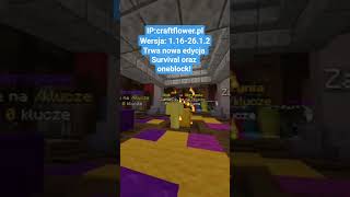 strefa spokojnego grania oraz chillu! #minecraft #survival #craftflower #shorts #minecraftserver