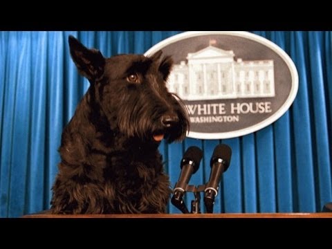 Video: Oud-eerste Dog Barney Bush Dead Op 12