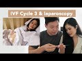 3rd IVF Cycle & Hysteroscopy + Laparoscopy for Endometriosis | Our IVF Journey