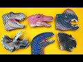 6 Awesome Dinosaur Heads | Tyrannosaurus Triceratops Velociraptor