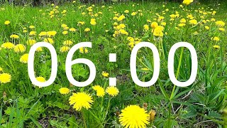 6 Minute Spring Timer with Relaxing Music and Flowers for Meditation
