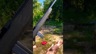 Marlin Model 795 22 Long Rifle.