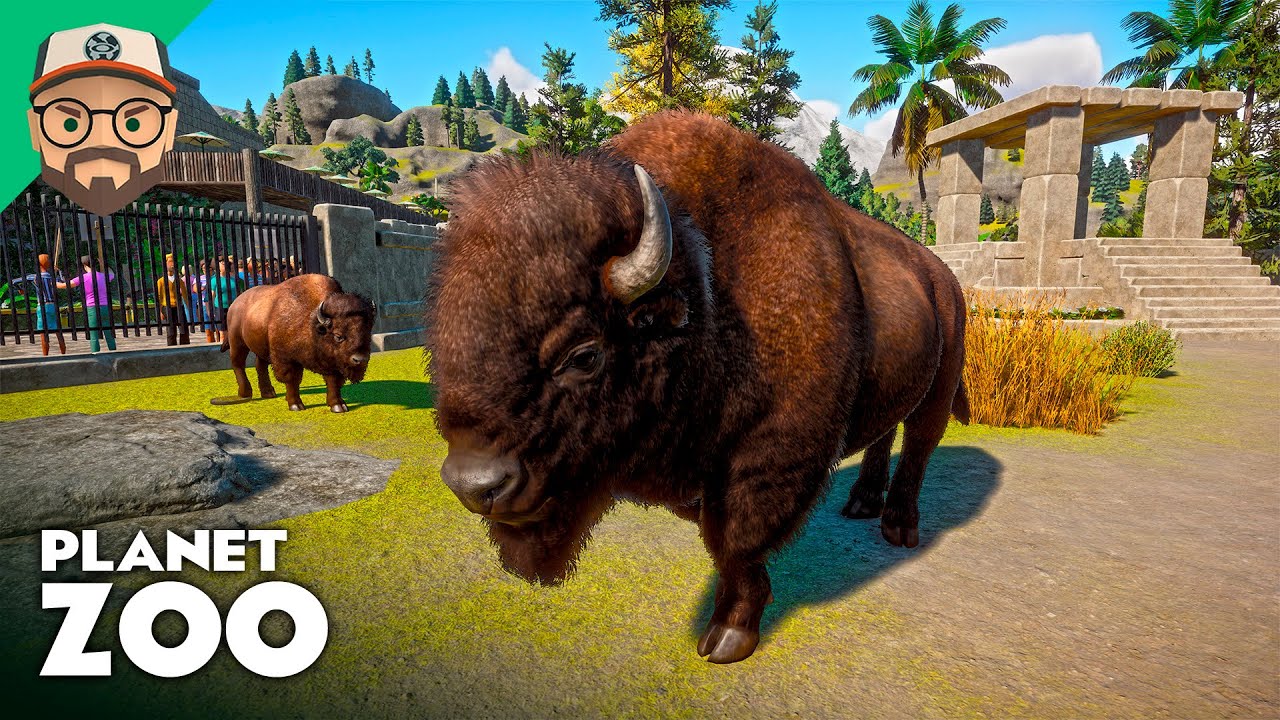 Reformei o Habitat dos Bisões com meu Olhar de Engenheiro! | Planet Zoo - Ep.11