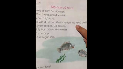 Đọc bài mẹ con cá rô 1- Sách Tiếng Việt lớp 1 tập 1- Nguyễn Hải Đăng Vlog
