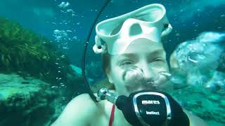 Loves Hookah Scuba Diving More Than Anything Else March 7 2022 331Pm Dive With Dallas