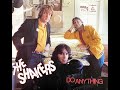 The Shakers - California / Do Anything