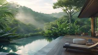 Relax in a Jungle Resort | Ambient Jungle Fog | Jungle Sounds | Jungle ASMR | Relax Sleep Study by AmbienceMusic 108 views 1 month ago 1 hour