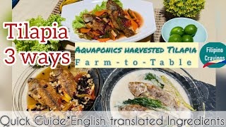 How to cook Tilapia 3 ways, Sweet & Sour, Tausi, Ginataan | Aquaponics | Filipino Food Episode 19
