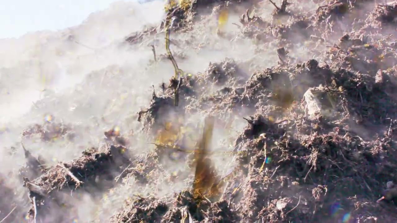 Premium Organic Mulch, Soil, & Compost Delivery in Northern Colorado.