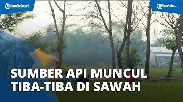 Semburan Api di Sawah Wilayah Indramayu Muncul Sendiri, Ternyata Masih di Sekitar Sumur Bor Belanda