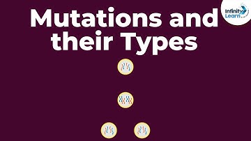 Genetics - Mutations and their Types - Lesson 20 | Don