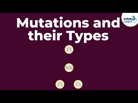 Video: Kas yra chromosomų mutacija?