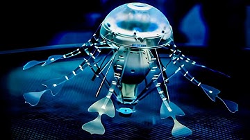 Amazing Animal Robots That Moves just Like Real Thing