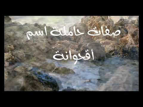 معنى اسم أقحوانة