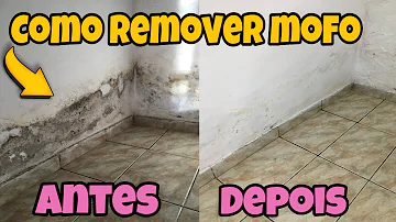 Como eliminar mofo caseiro?