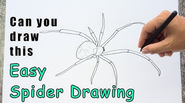 How to Draw a Spider Sketch | Easy Tarantula Drawing Step by Step Outline Tutorial