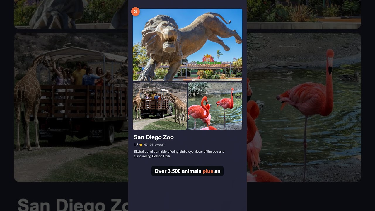 Top 5 Things To Do in San Diego with Kids