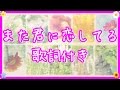 また君に恋してる/ビリーバンバン【歌詞付き】高音質フル(坂本冬美 いいちこCMソング ) covered by クムリソラ-sora kumuri-