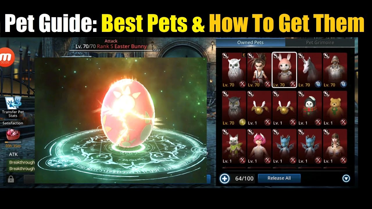 Darkness Rises Pets Guide Best Pets How To Get Them YouTube Maxresdefault