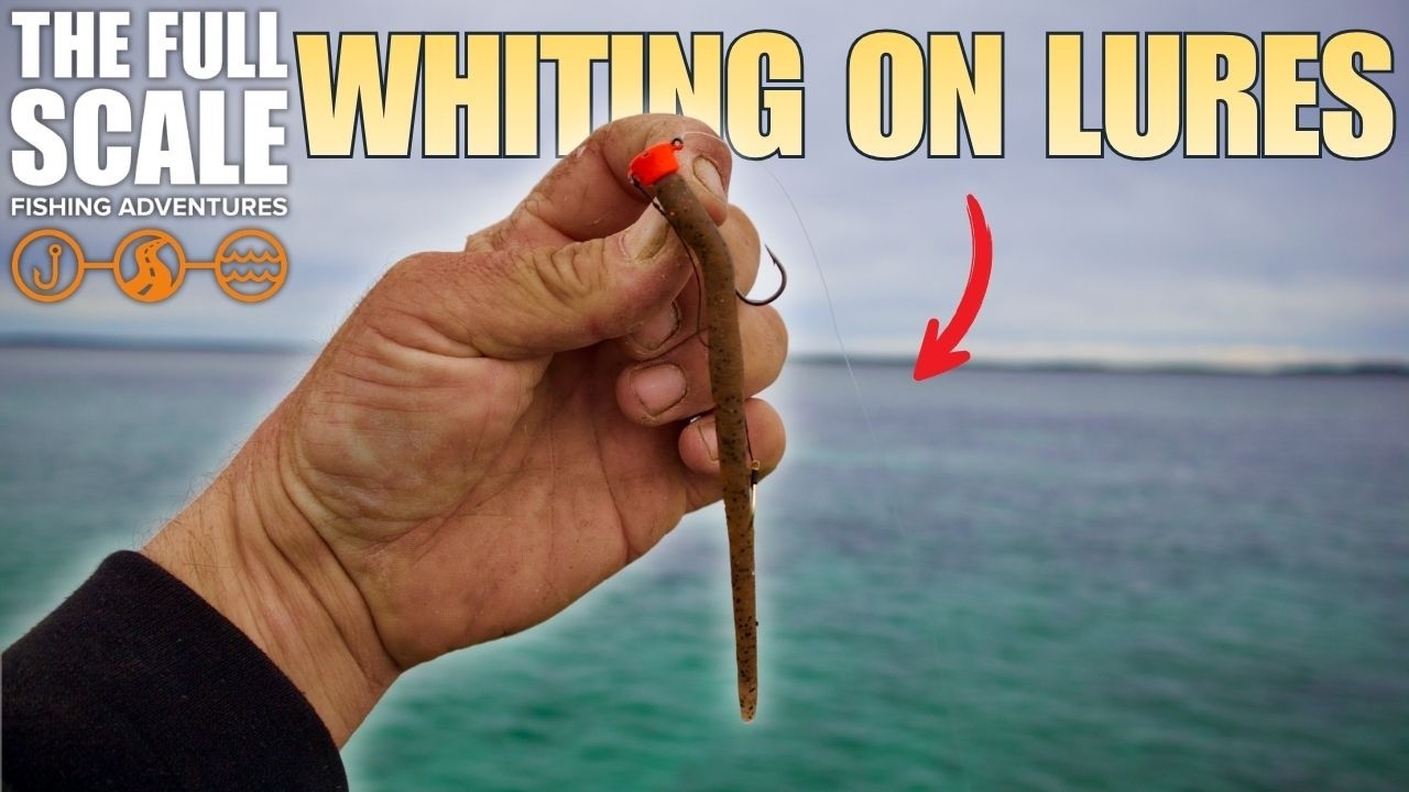 King George Whiting Fishing With Lures | The Full Scale
