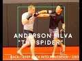 Anderson Silva's 8 BEST Tactics