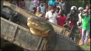 18548537 414890502242775 8333740797815947264 n