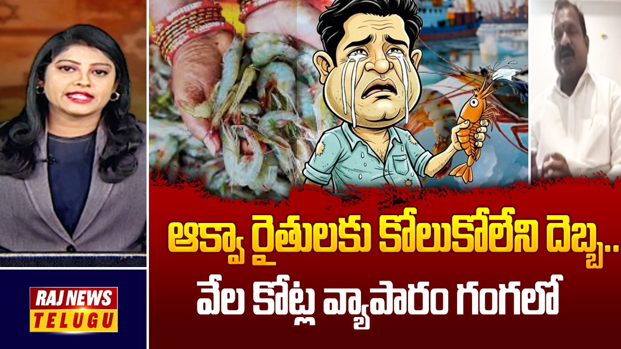 ఆక్వా రైతులకు కోలుకోలేని దెబ్బ.. వేల కోట్ల వ్యాపారం గంగలో | Vasanth Rao | West Godavari | Raj News