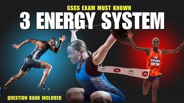 Master the 3 Energy Systems for the CSCS Exam | Must-Know Concepts & Questions!