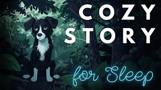 🐶 A Cozy Story for Sleep | A Dreamy Day of Geocaching | Calm Bedtime Story