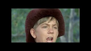 Daniel Boone Season 6 Episode 1 A Very Small Rifle