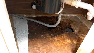 Rotted Sink Cabinet Floor—How To Replace