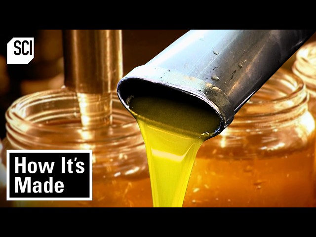 Gooey Goopy Goods 🫟 | How It’s Made | Science Channel