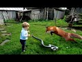 Unbelievable Animal Encounters Caught on Camera | Interesting Animal Moments 2024 !