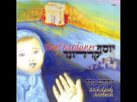 יוסף קרדונר משיח יבוא 