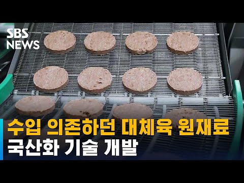   수입 의존하던 대체육 원재료 국산화 기술 개발 SBS