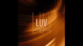 Yusuf Hanay & Aaron Sibley  - Luv Resimi