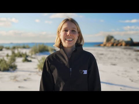 Lost in the Wilderness: Good Places for Escapism | It's All Good Down Under | Come and Say G'day
