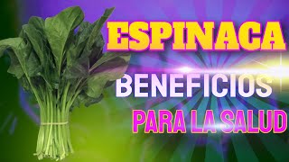 Revisa Estos 10 Beneficios Para Tu Salud De Las Espinacas