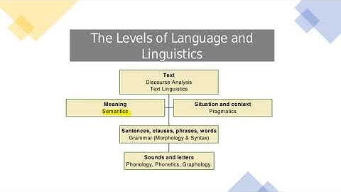 Pragmatics and Semantics / Grammar