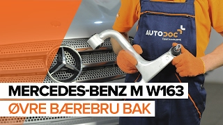 Hvordan bytte øvre bærebru bak på MERCEDES-BENZ M W163 BRUKSANVISNING | AUTODOC