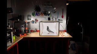 Pigeon photo box explained screenshot 4