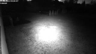 Mdalarm 20160421 032352