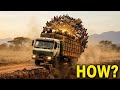 Maasai drivers की असली कहानी जहाँ हर सफर अंतिम हो सकता है 💔