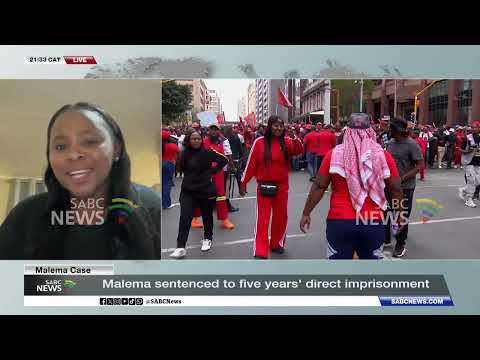 Malema Firearm Case | How long can an appeals process drag out? Panel of experts weigh in